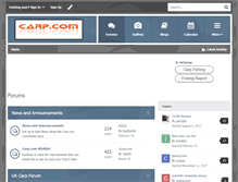 Tablet Screenshot of carp.com